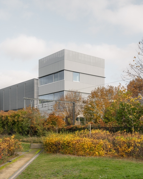 P.A.R.T.S – ROSAS – ICTUS  