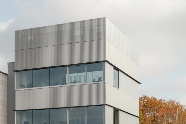 P.A.R.T.S – ROSAS – ICTUS  